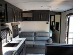 2022 DUTCHMAN SPRINGDALE   a la Venta en Copart MN - MINNEAPOLIS NORTH