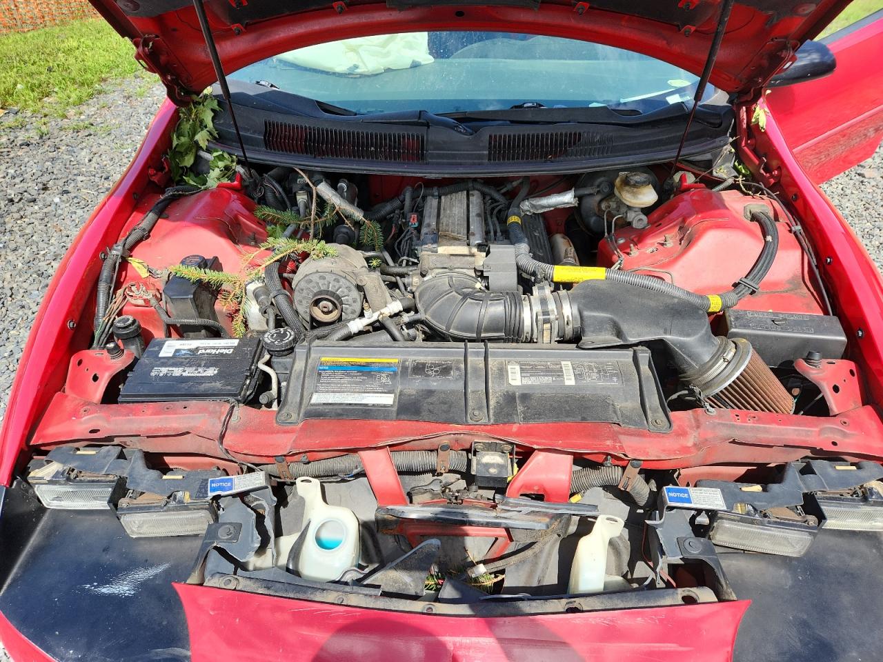1994 Chevrolet Camaro Z28 VIN: 2G1FP22P3R2173110 Lot: 65065815