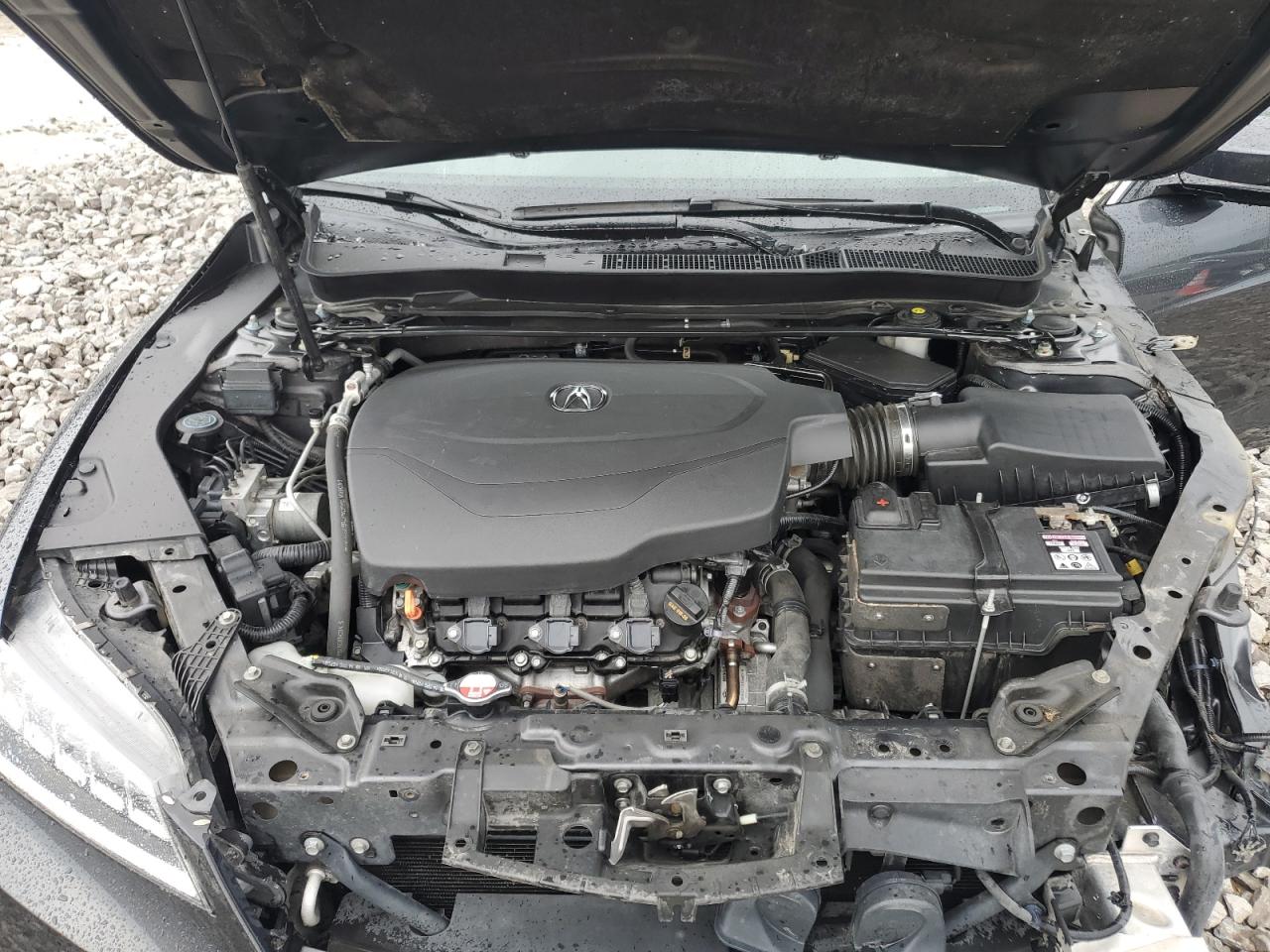 2015 Acura Tlx Tech VIN: 19UUB2F50FA022336 Lot: 63261685