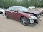 2010 NISSAN MAXIMA S   à vendre chez Copart ON - COOKSTOWN