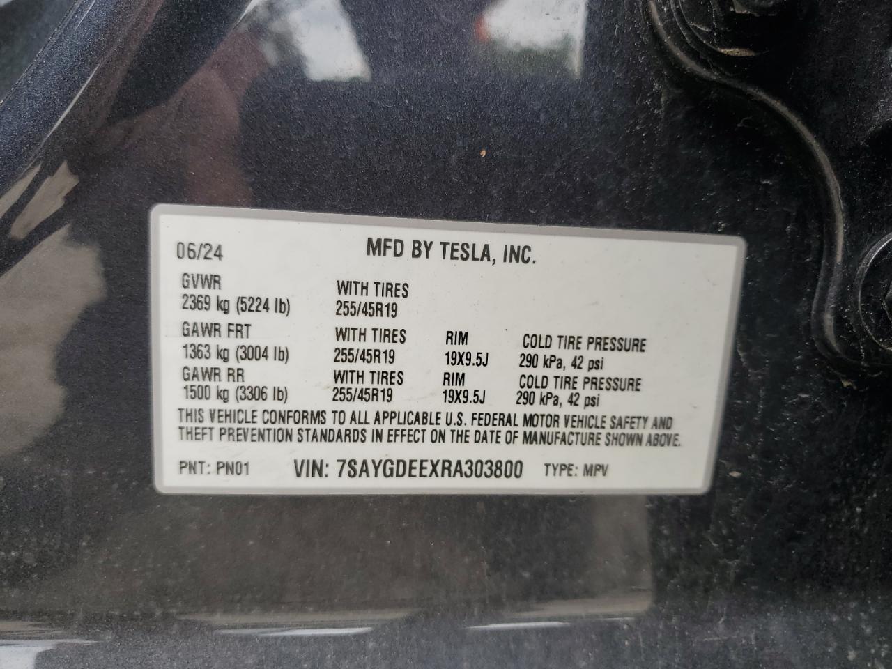 2024 Tesla Model Y VIN: 7SAYGDEEXRA303800 Lot: 65205765