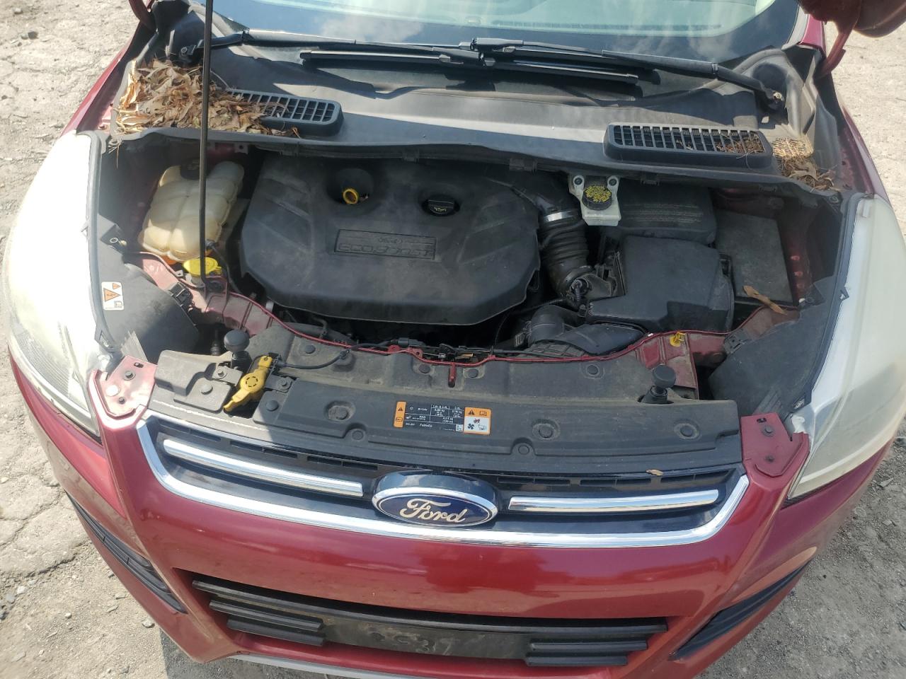 2014 Ford Escape Titanium VIN: 1FMCU0J99EUB56533 Lot: 64506465