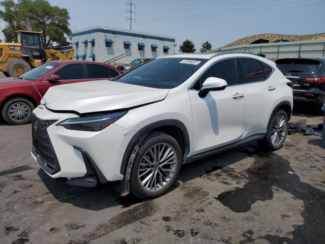  LEXUS NX 350H BA 2024 Biały