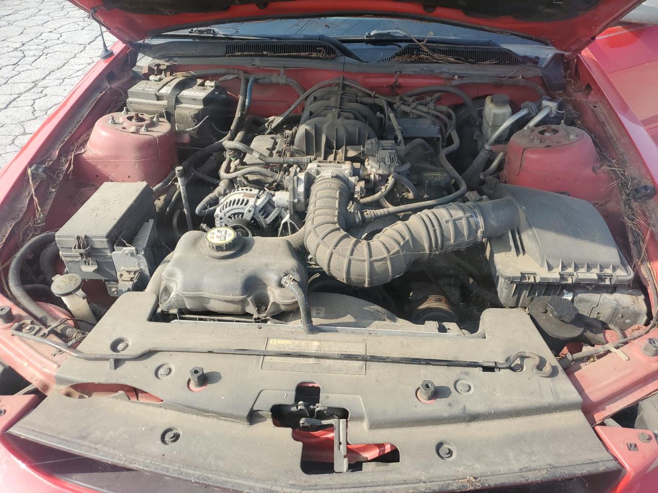 2009 Ford Mustang VIN: 1ZVHT80N395130551 Lot: 63326155