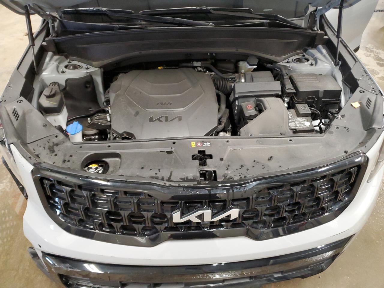 2024 Kia Telluride Sx VIN: 5XYP5DGC9RG560534 Lot: 63625915