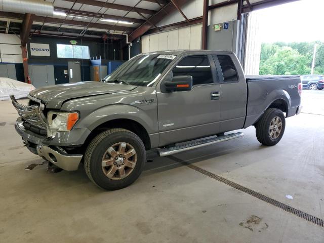 Pickups FORD F-150 2014 Szary