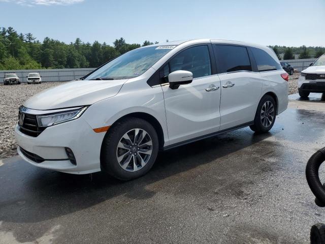 2024 Honda Odyssey Exl