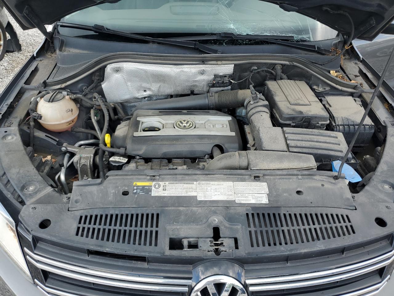 2016 Volkswagen Tiguan S VIN: WVGBV7AX3GW554831 Lot: 64377155