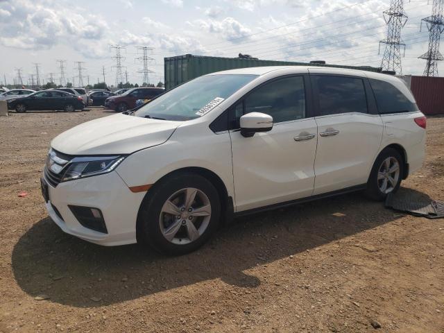  HONDA All Models 2019 Белы