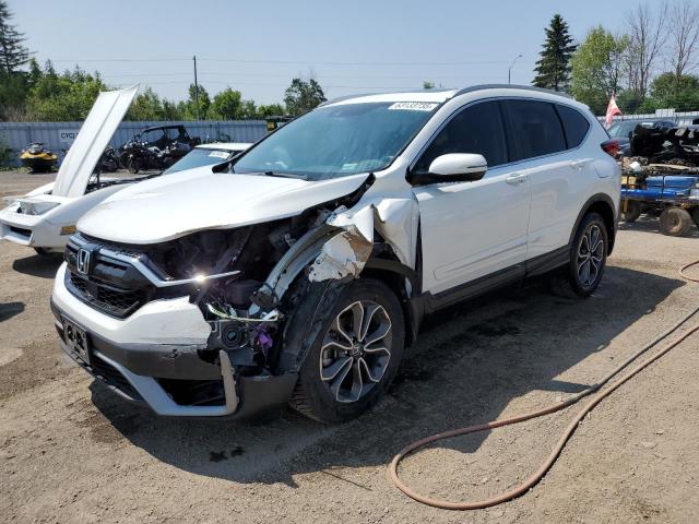 2021 HONDA CR-V EXL   for sale at Copart ON - TORONTO