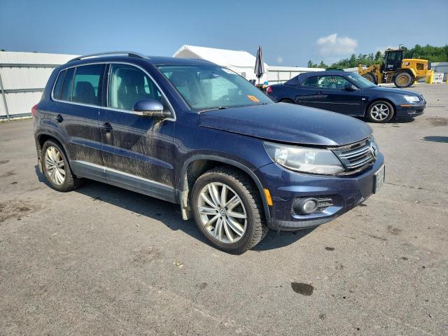  VOLKSWAGEN TIGUAN 2013 Blue