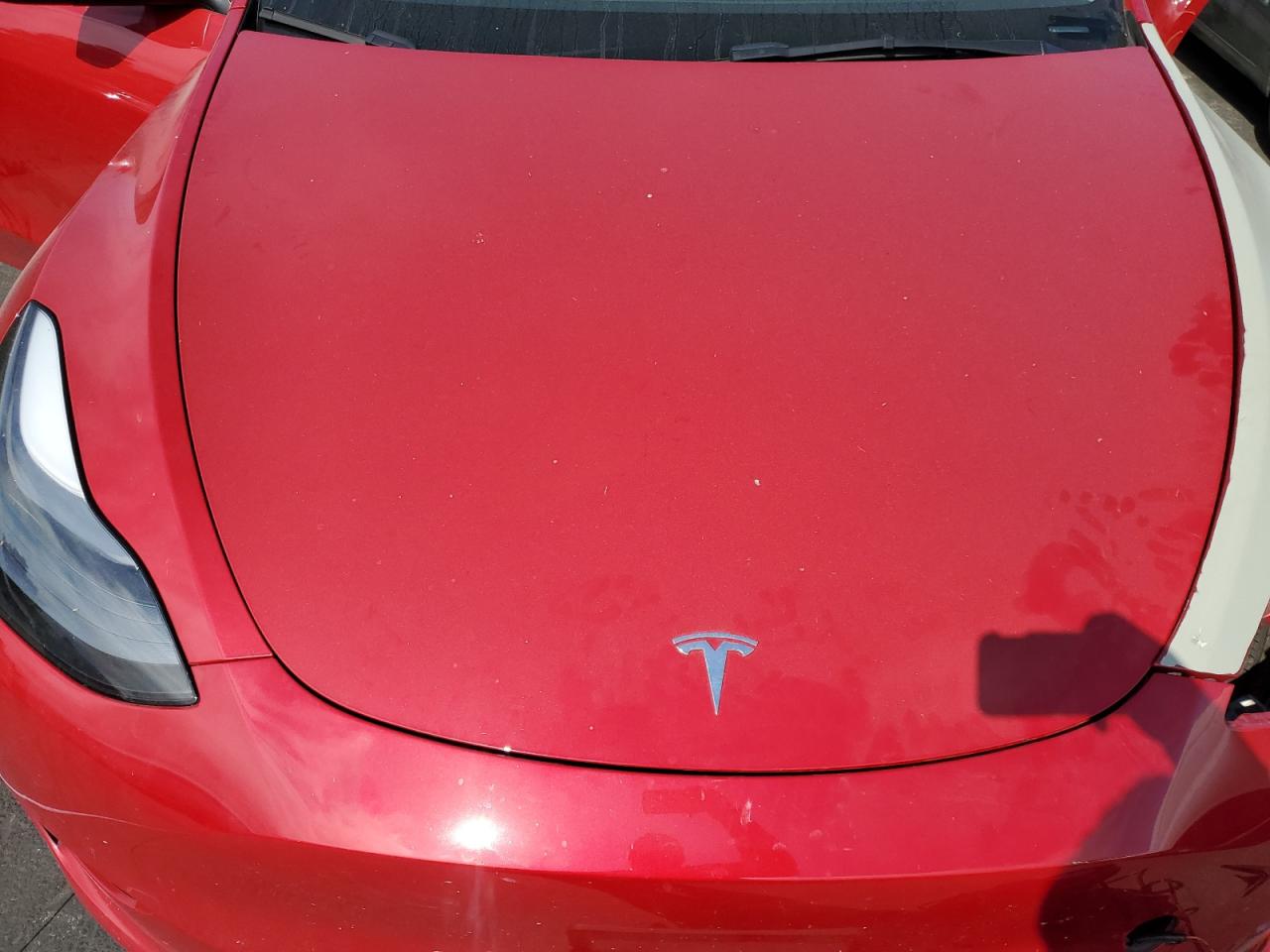 2023 Tesla Model Y VIN: 7SAYGDEE1PF813520 Lot: 65203355