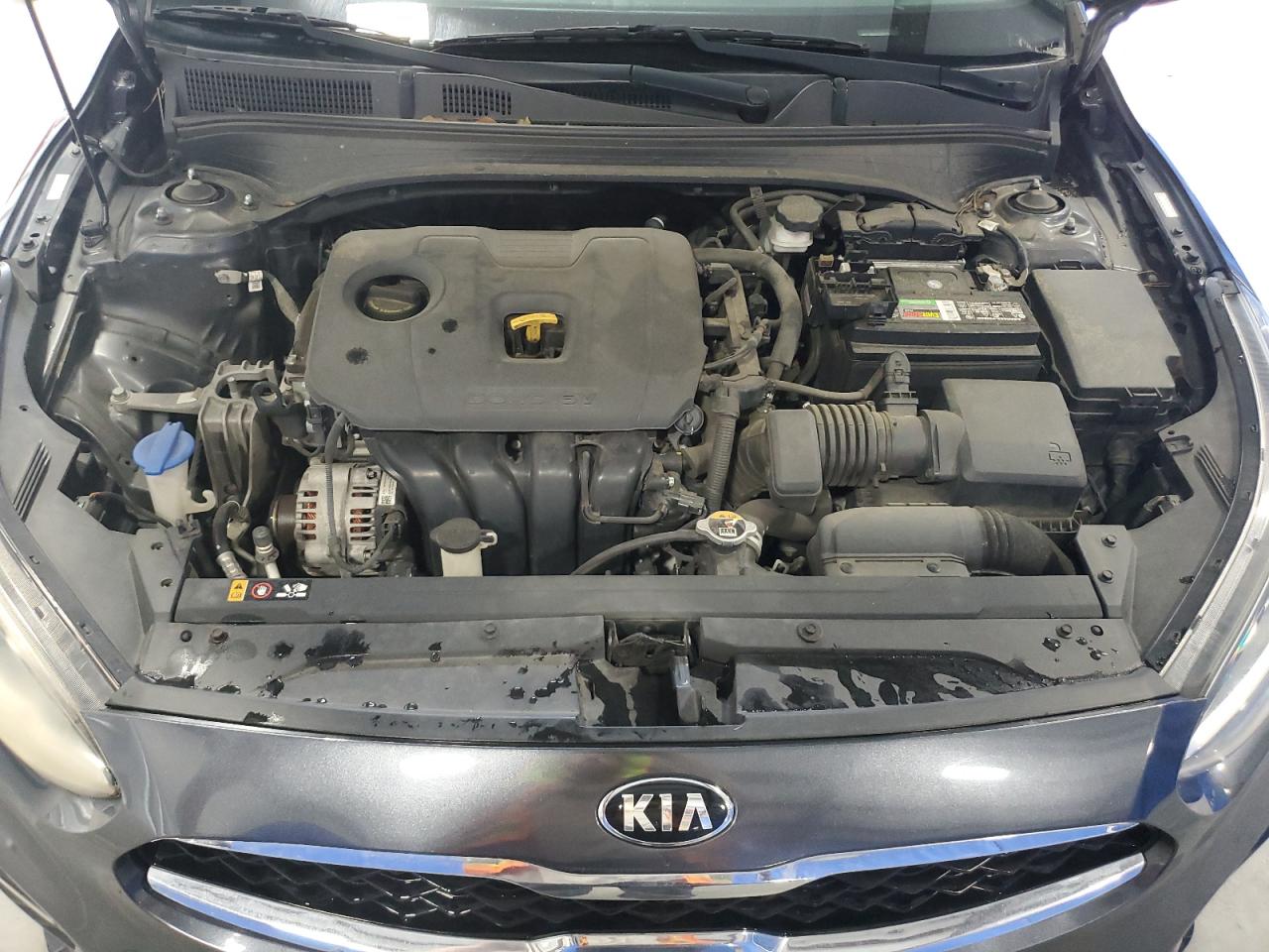 2020 Kia Forte Fe VIN: 3KPF24AD7LE192171 Lot: 63498805