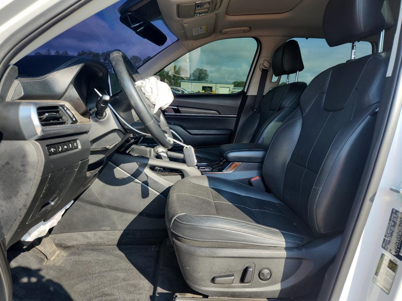 2020 Kia Telluride Ex VIN: 5XYP3DHC6LG008470 Lot: 64113025