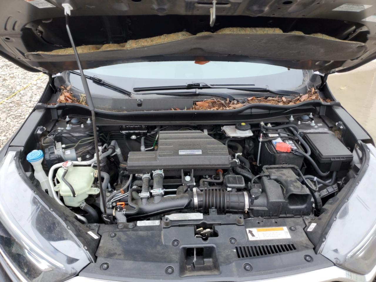 2019 Honda Cr-V Ex VIN: 5J6RW1H56KA036309 Lot: 65067365