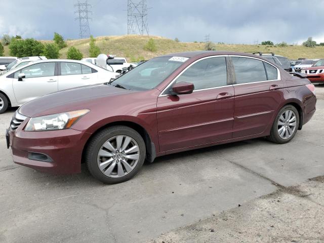 2011 Honda Accord Exl  