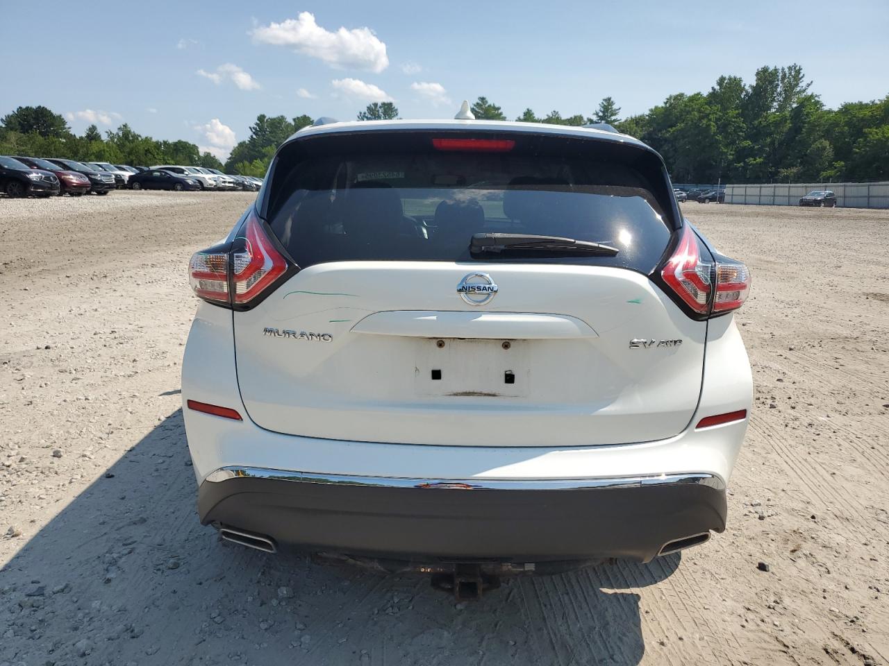 2017 Nissan Murano S VIN: 5N1AZ2MHXHN113017 Lot: 64523095