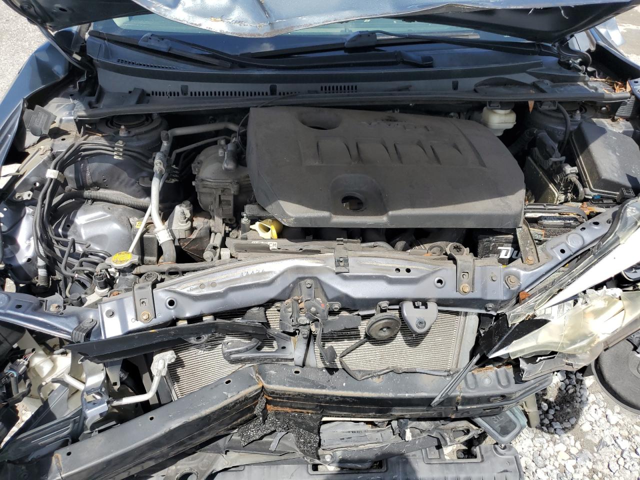 5yfburhe1ep069990 5YFBURHE1EP069990 2014 Toyota Corolla L