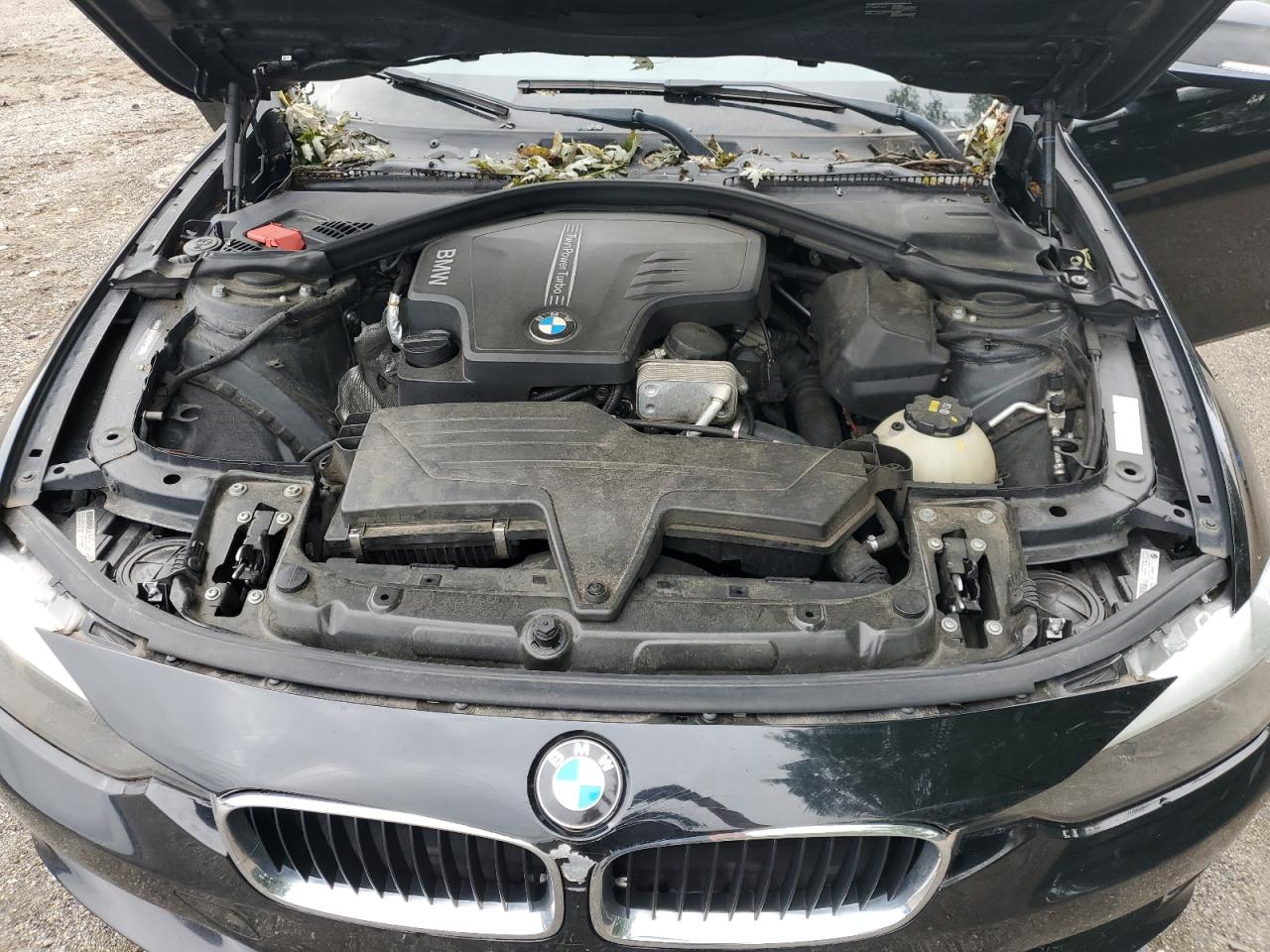 2015 BMW 320 I VIN: WBA3B1C51FK136281 Lot: 64897755