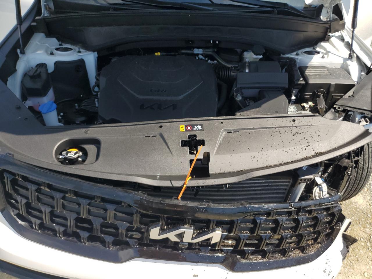 2024 Kia Telluride Sx VIN: 5XYP5DGC6RG554710 Lot: 63592275
