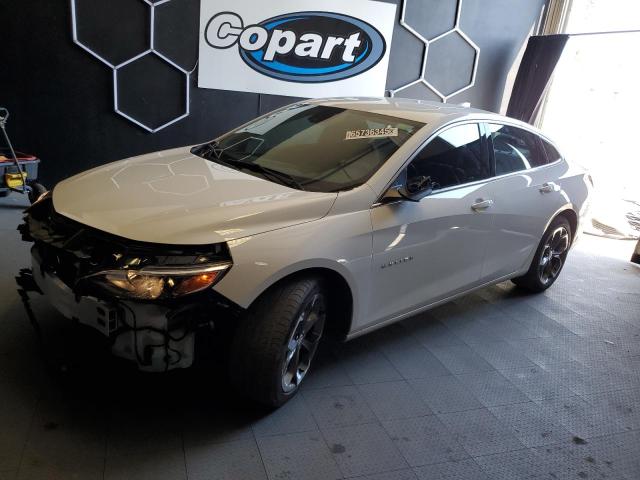  CHEVROLET MALIBU 2024 White