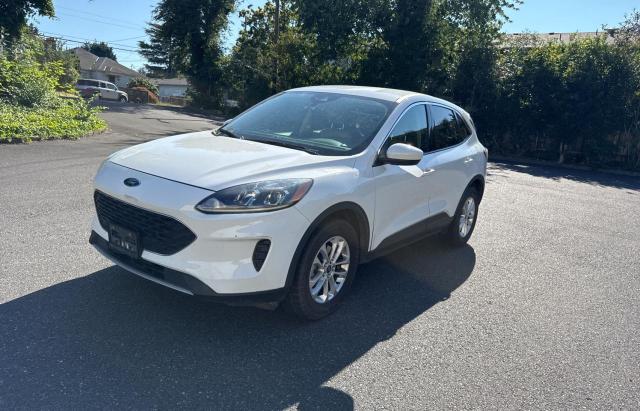  FORD ESCAPE 2020 Biały