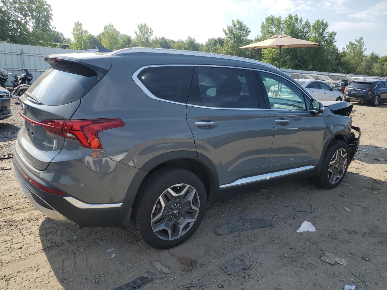 2023 Hyundai Santa Fe Limited VIN: 5NMS5DA16PH004895 Lot: 66375995