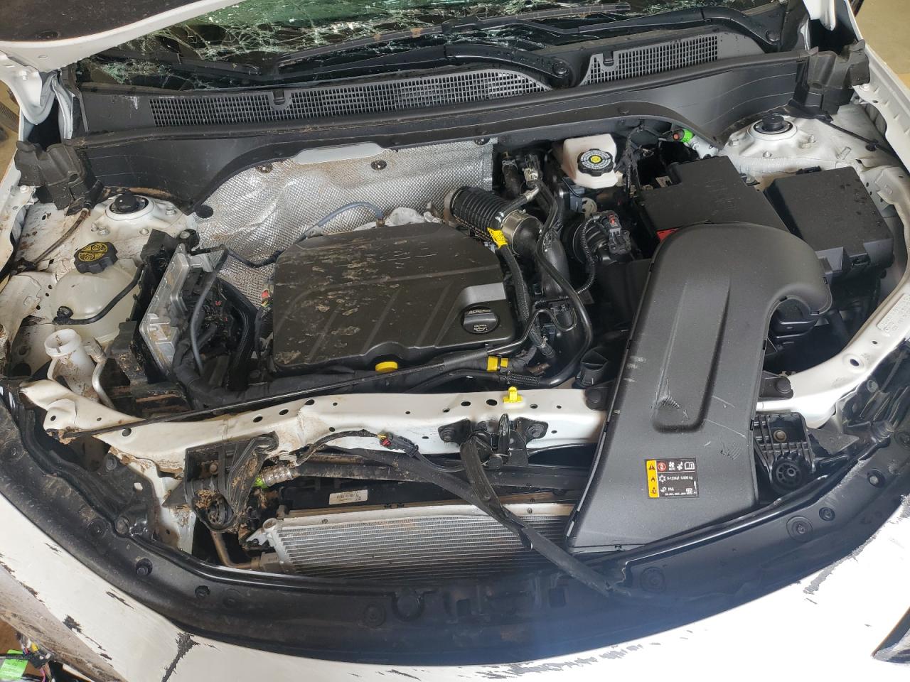 2025 Buick Envista Sport Touring VIN: KL47LBEP4SB170256 Lot: 62996455