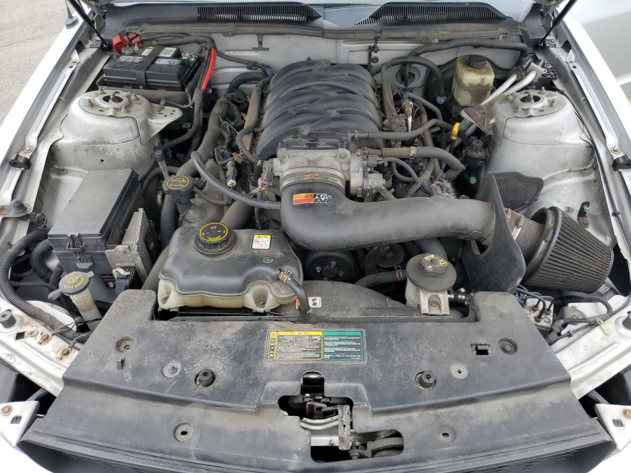 2006 Ford Mustang Gt VIN: 1ZVHT82H365220401 Lot: 64397215