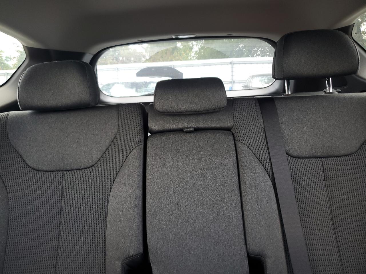 2020 Hyundai Santa Fe Sel VIN: 5NMS3CAD1LH288151 Lot: 66539605