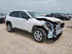 2025 TOYOTA RAV4 LE   for sale at Copart TX - SAN ANTONIO