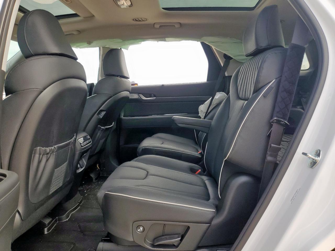 2025 Hyundai Palisade Limited VIN: KM8R54GE1SU848039 Lot: 62429665