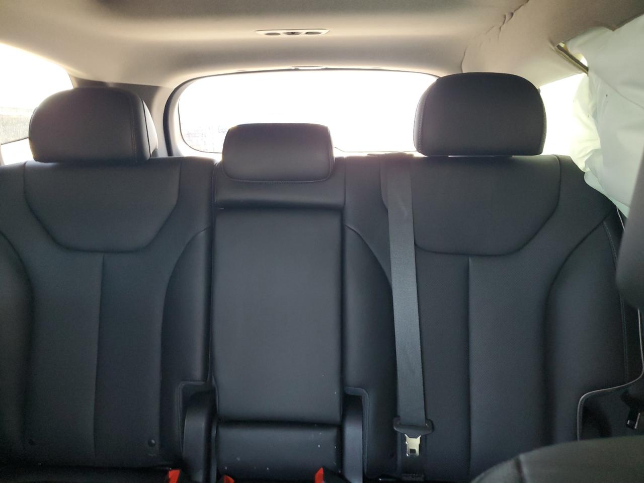 2023 Hyundai Santa Fe Limited VIN: 5NMS5DA17PH018482 Lot: 63928255