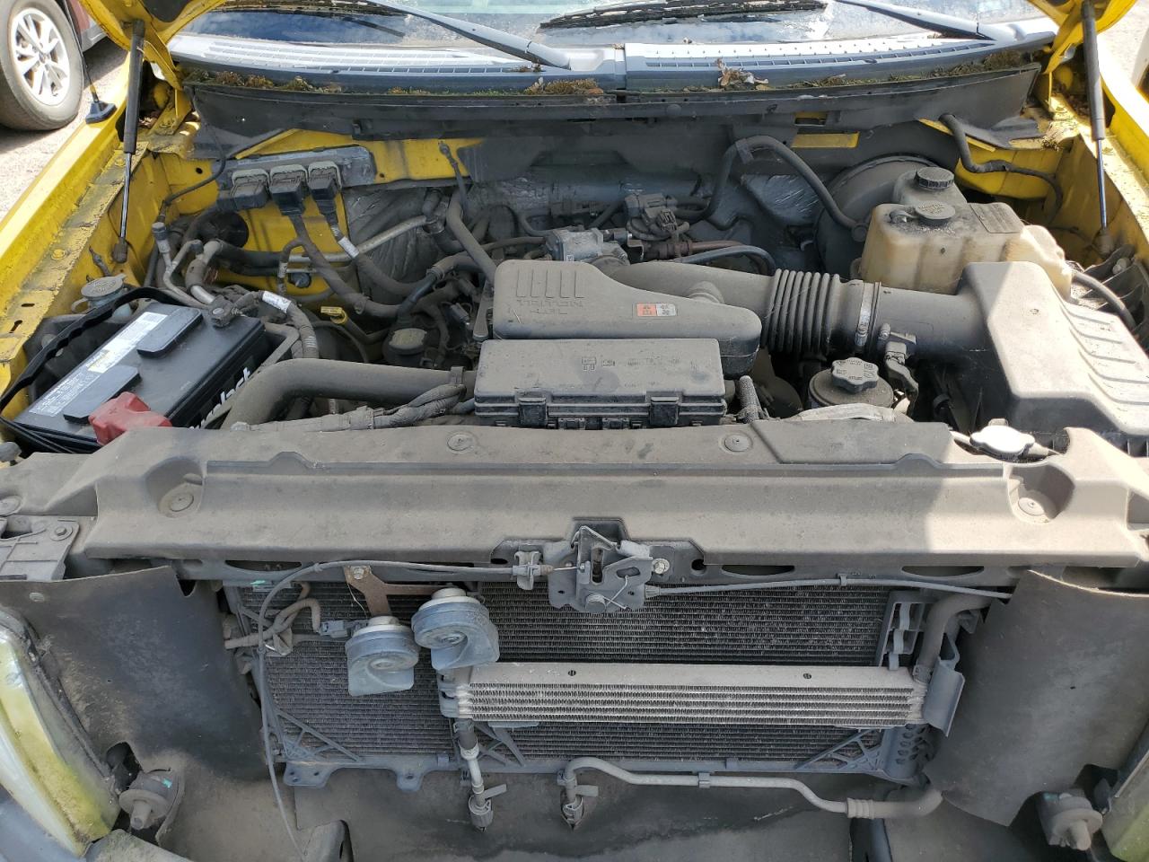 2009 Ford F150 VIN: 1FTRF12W19KA66202 Lot: 67158055