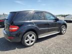 2010 MERCEDES-BENZ ML 350 4MATIC   à vendre chez Copart ON - OTTAWA