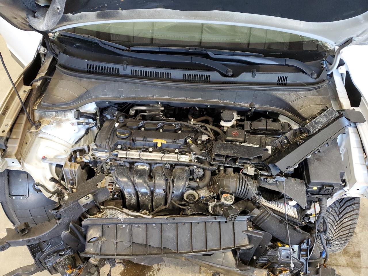 2019 Hyundai Kona Sel VIN: KM8K6CAA1KU353340 Lot: 63295165