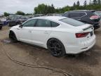 2019 AUDI S5 PRESTIGE   for sale at Copart ON - TORONTO