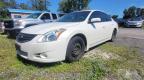 2010 NISSAN ALTIMA BASE   à vendre chez Copart ON - OTTAWA