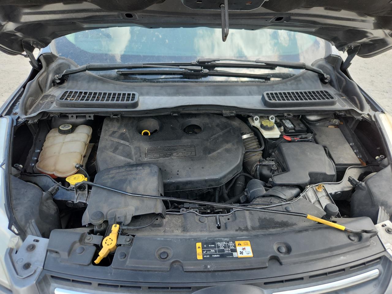 2013 Ford Escape Se VIN: 1FMCU0G94DUB78171 Lot: 65118645