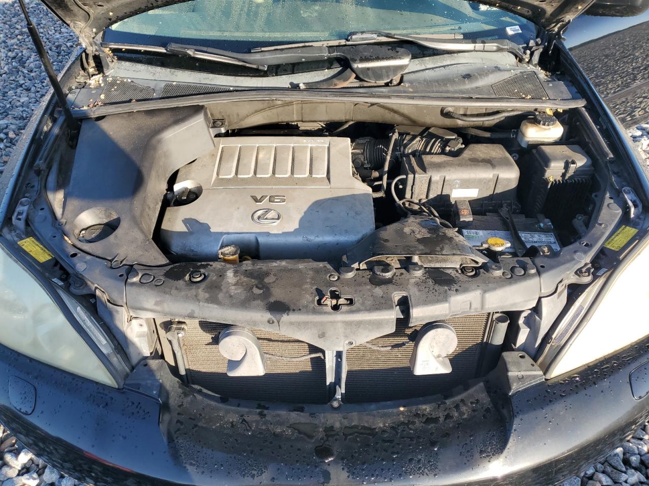 2007 Lexus Rx 350 VIN: 2T2GK31U97C023820 Lot: 64665025