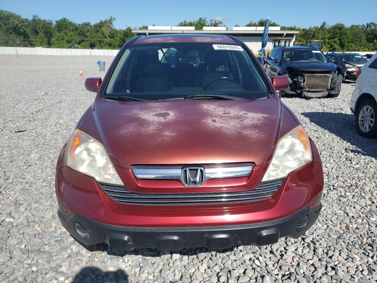 2008 Honda Cr-V Exl VIN: JHLRE38738C038153 Lot: 66078945