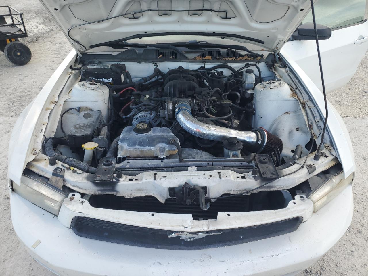 2010 Ford Mustang VIN: 1ZVBP8AN4A5128501 Lot: 64098515