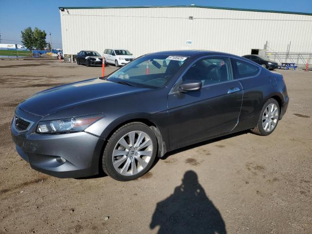 2009 HONDA ACCORD EXL   for sale at Copart AB - CALGARY
