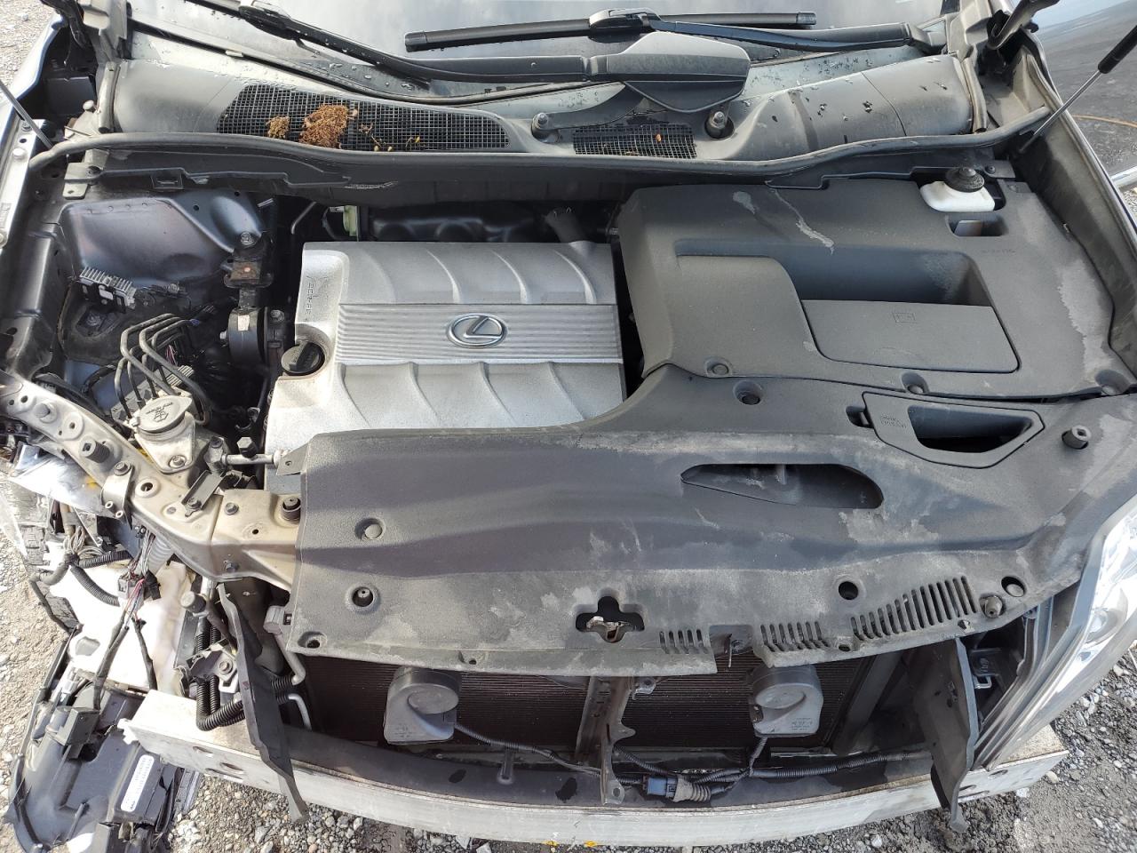 2012 Lexus Rx 350 VIN: 2T2BK1BA5CC136824 Lot: 63295785