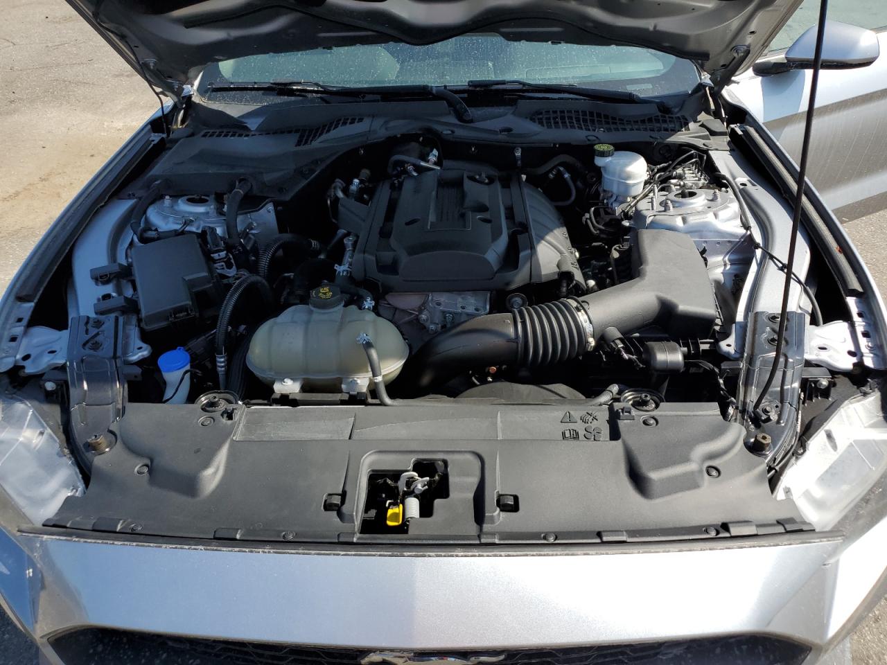 2020 Ford Mustang VIN: 1FA6P8TH4L5191456 Lot: 66498395