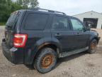 2011 FORD ESCAPE XLT   for sale at Copart ON - COOKSTOWN