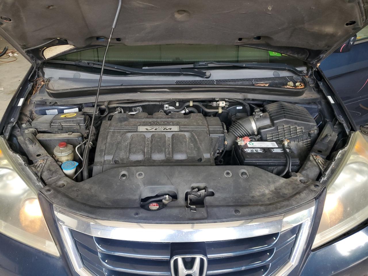 2009 Honda Odyssey Exl VIN: 5FNRL38799B408660 Lot: 64373365