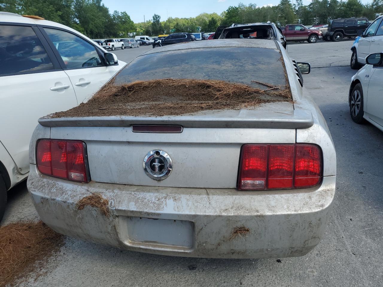 2008 Ford Mustang VIN: 1ZVHT80N185124729 Lot: 65571195