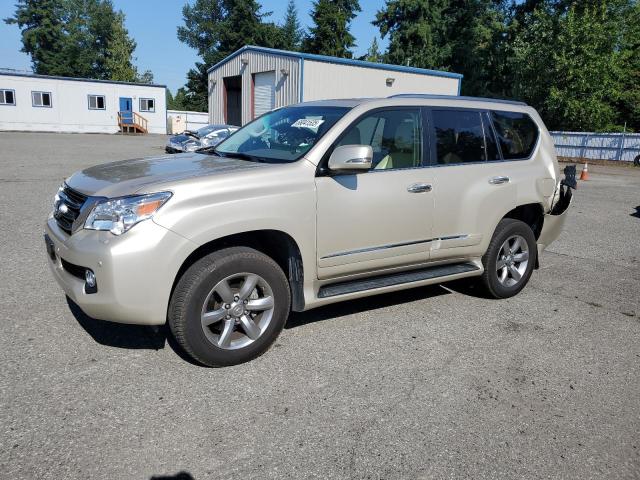  LEXUS GX 2013 Beżowy