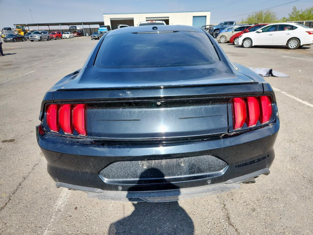2019 Ford Mustang VIN: 1FA6P8TH0K5108975 Lot: 64136985
